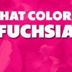 What Color Is Fuchsia