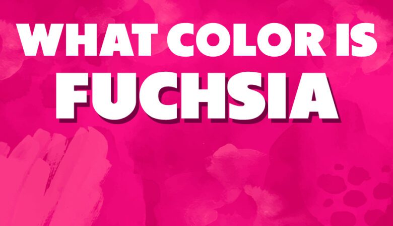 What Color Is Fuchsia? A Journey into Bold and Bright Shades