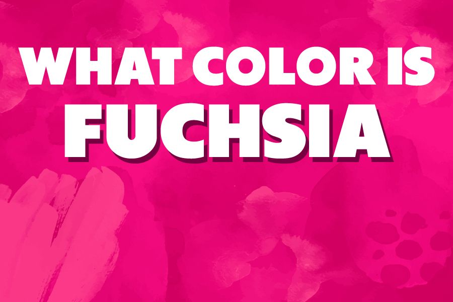 What Color Is Fuchsia