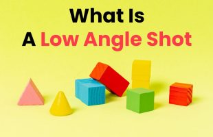 What Is A Low Angle Shot? Tips and Examples 