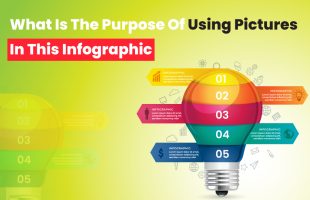 What Is The Purpose Of Using Pictures In This Infographic? 